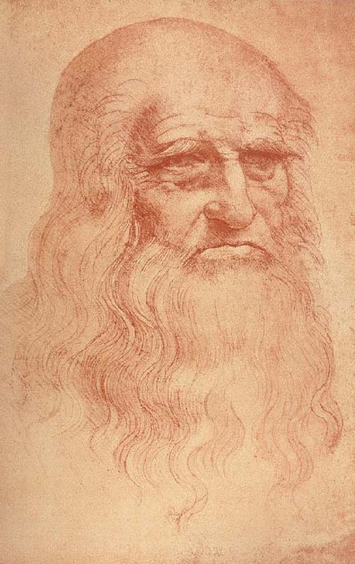LEONARDO da Vinci Self Portrait oil painting image
